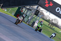 Oulton-Park-20th-March-2020;PJ-Motorsport-Photography-2020;anglesey;brands-hatch;cadwell-park;croft;donington-park;enduro-digital-images;event-digital-images;eventdigitalimages;mallory;no-limits;oulton-park;peter-wileman-photography;racing-digital-images;silverstone;snetterton;trackday-digital-images;trackday-photos;vmcc-banbury-run;welsh-2-day-enduro